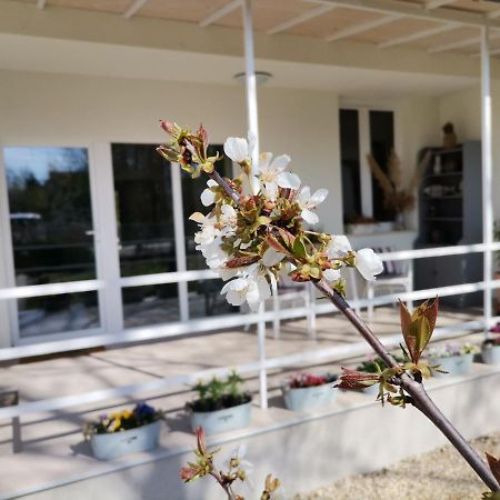 Fűszerkert vendégház Zamárdi Exterior foto